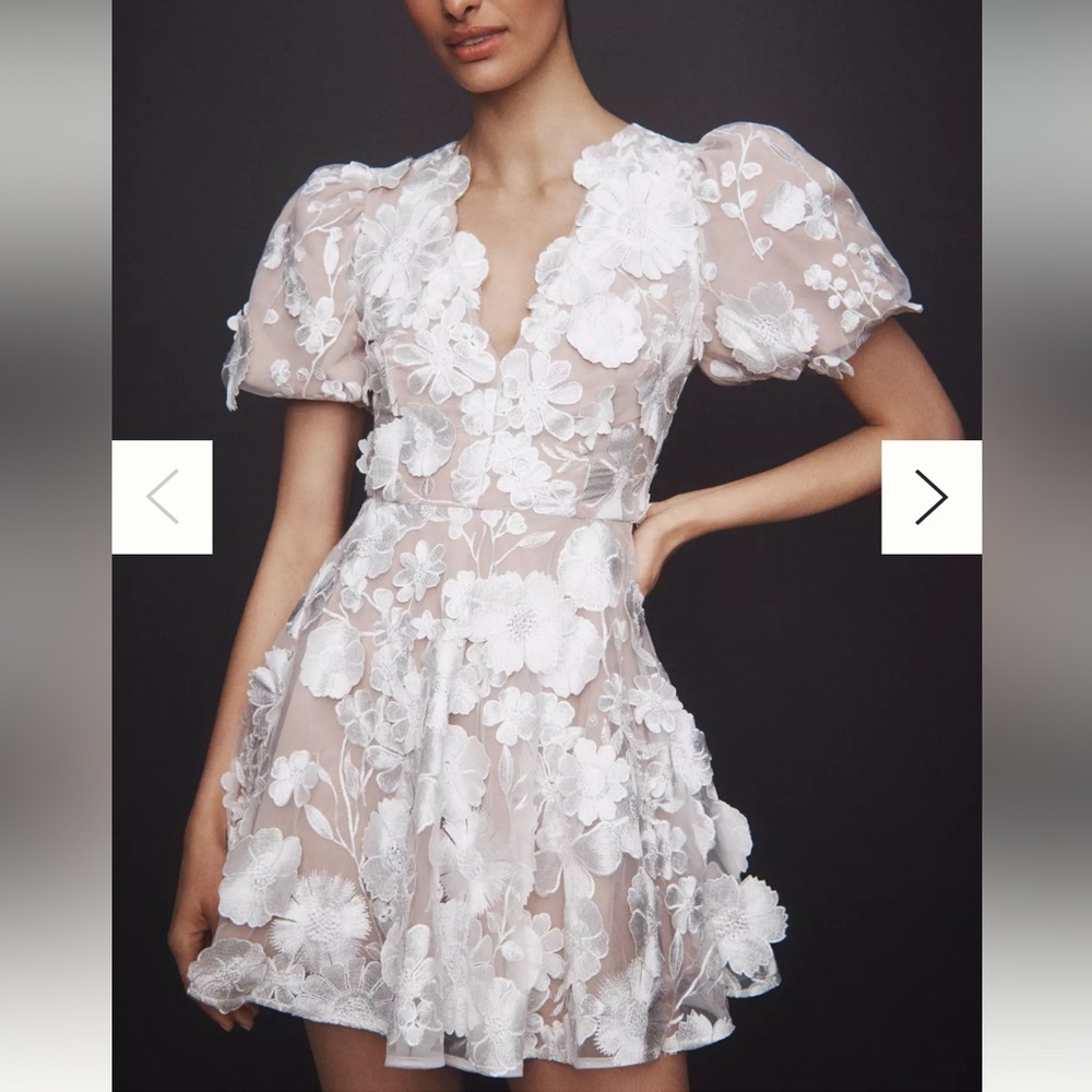 Elliatt Selene Short-Sleeve V-Neck 3D Floral Lace Mini Dress